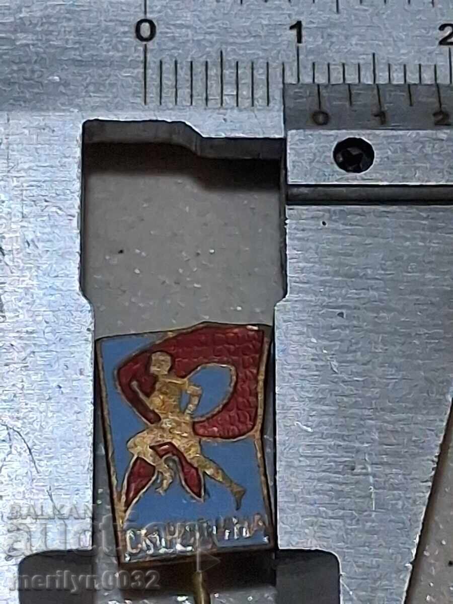 Auction  Chest badge Sports Marathon Rodina for Pioneers medal badge