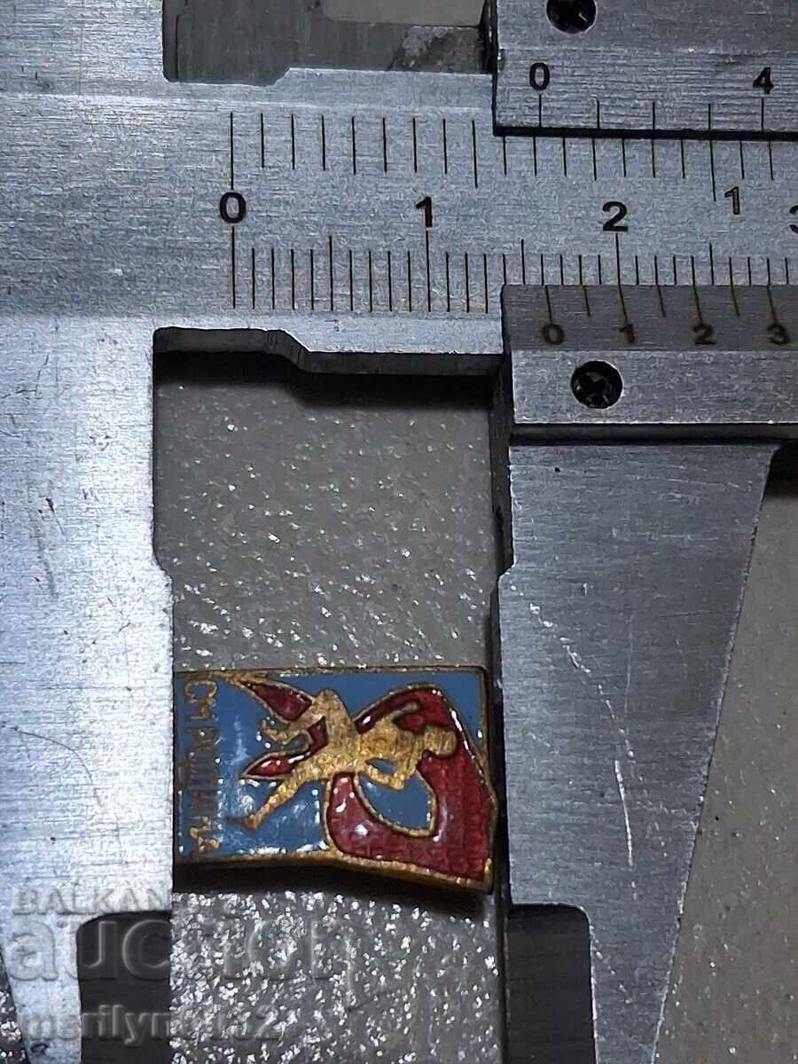 Delivery of Chest badge Sports Marathon Rodina for Pioneers medal badge