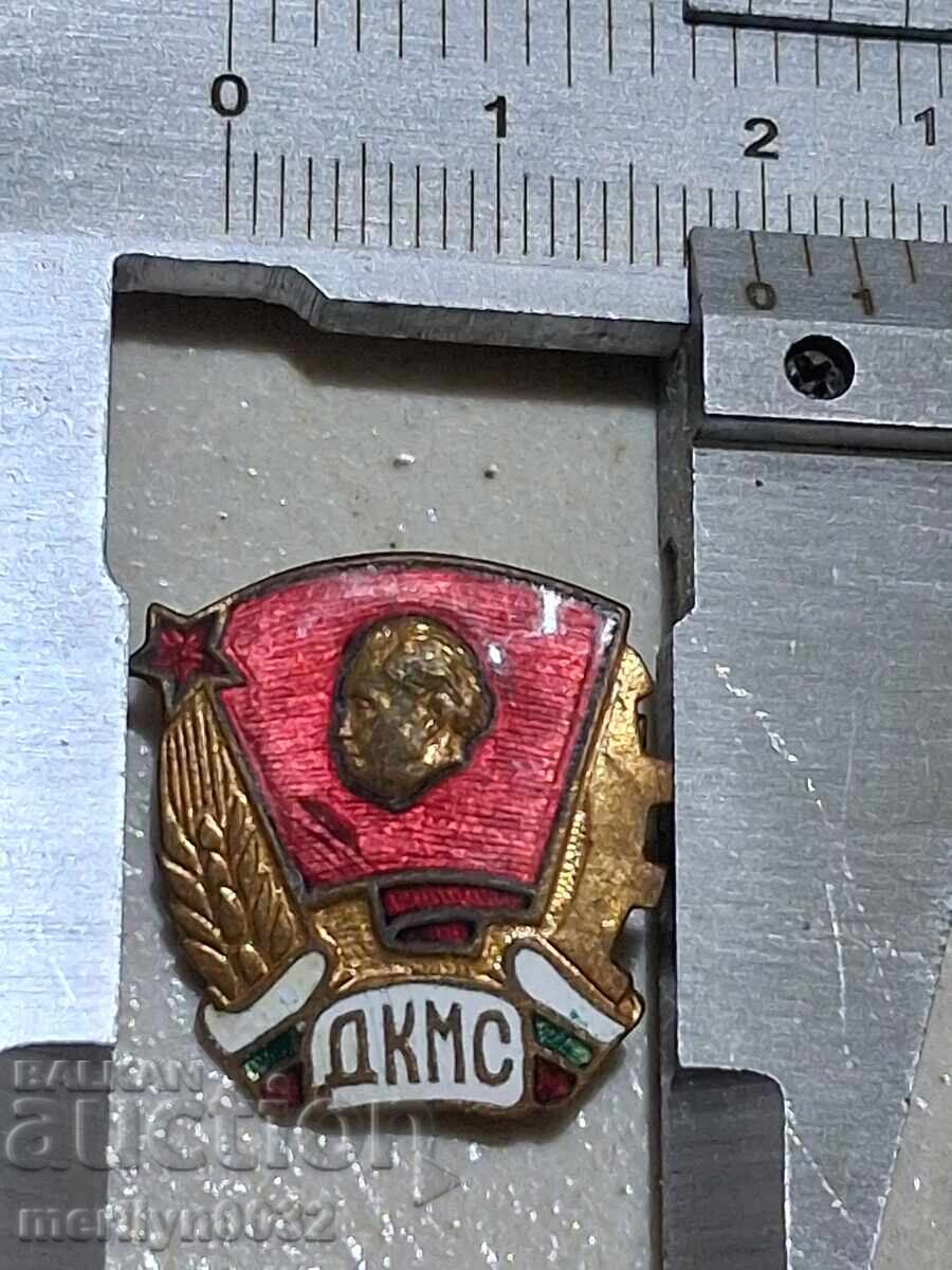 Licitație Insigna ecuson insignă DKMS medalie Licitație Insigna ecuson insignă DKMS medalie
