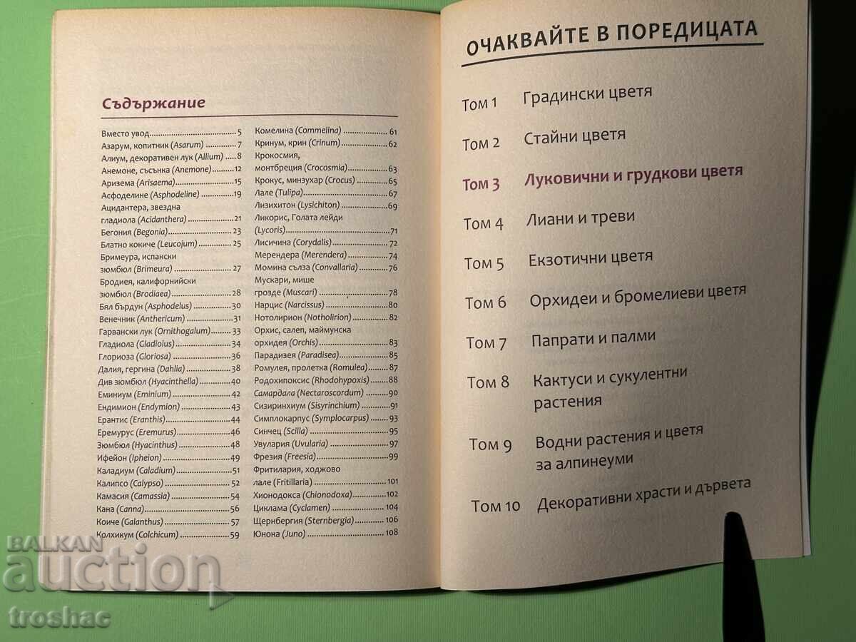 Cartea Marea Enciclopedie a Florilor / Bulbi și Tuberculi - 5