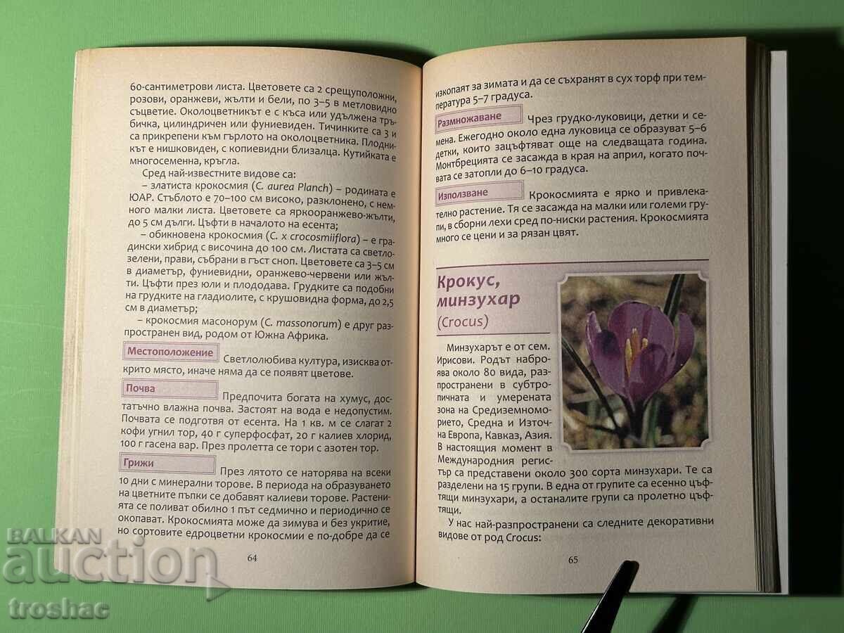 Cartea Marea Enciclopedie a Florilor / Bulbi și Tuberculi - 6