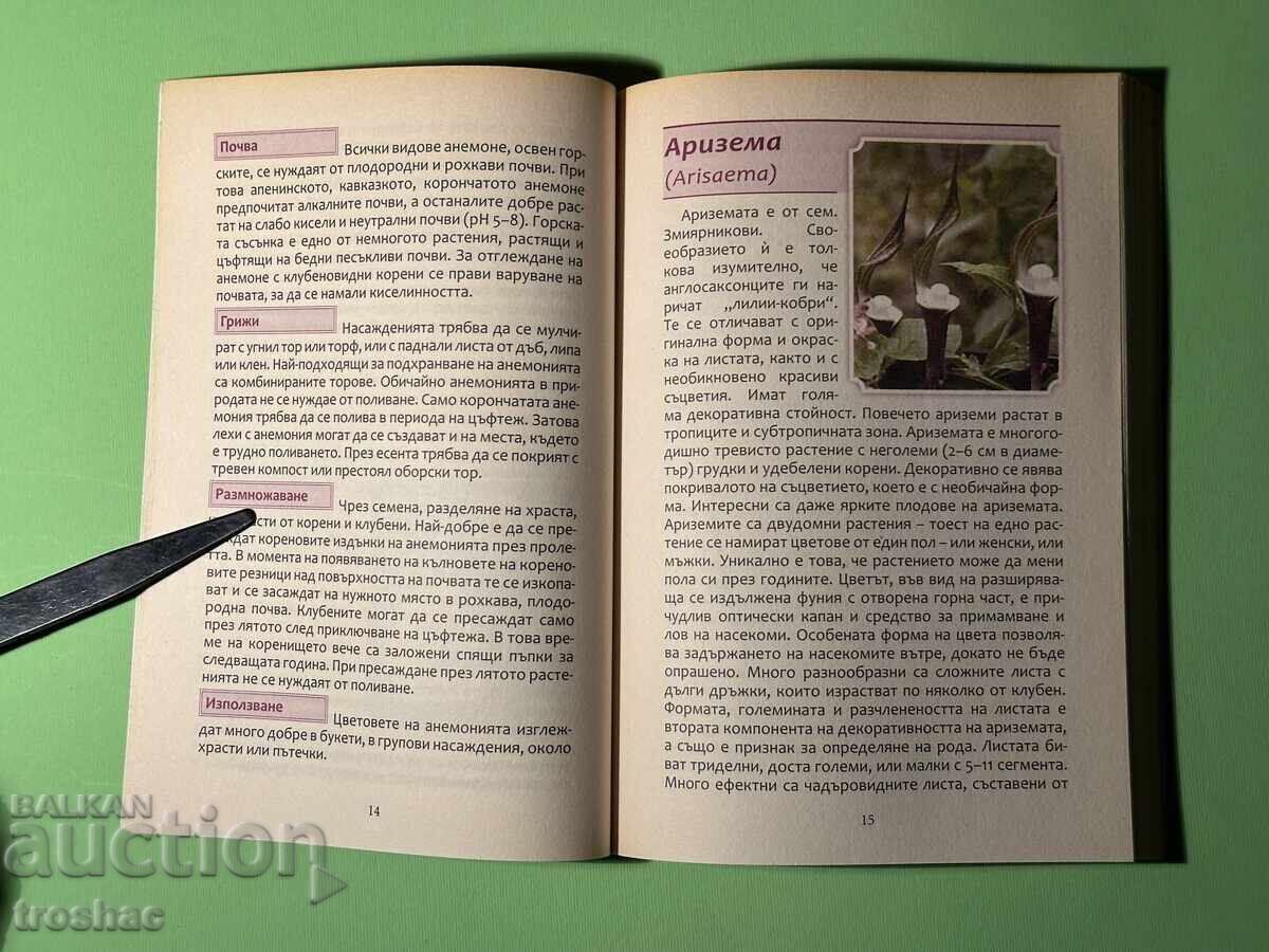 Cartea Marea Enciclopedie a Florilor / Bulbi și Tuberculi - 7