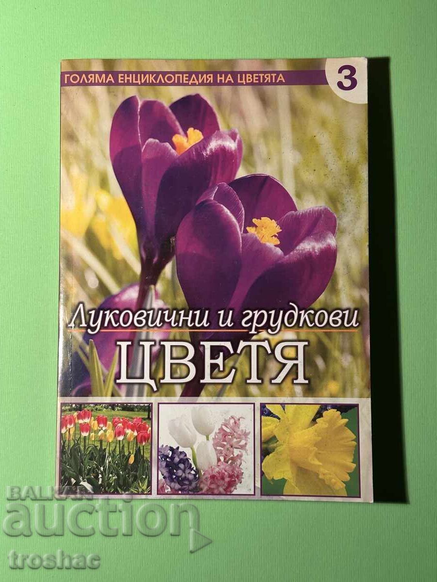 Cartea Marea Enciclopedie a Florilor / Bulbi și Tuberculi