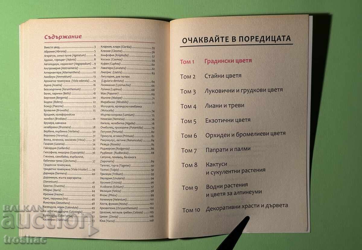 Μεγάλη Εγκυκλοπαίδεια των Λουλουδιών / Κηπουρικά Λουλούδια - 5