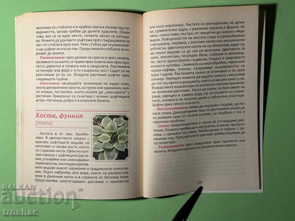 Μεγάλη Εγκυκλοπαίδεια των Λουλουδιών / Κηπουρικά Λουλούδια - 6
