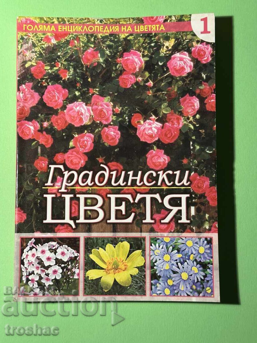 Μεγάλη Εγκυκλοπαίδεια των Λουλουδιών / Κηπουρικά Λουλούδια