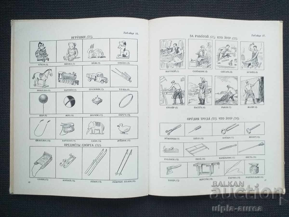 Livrarea Dicționar ilustrat