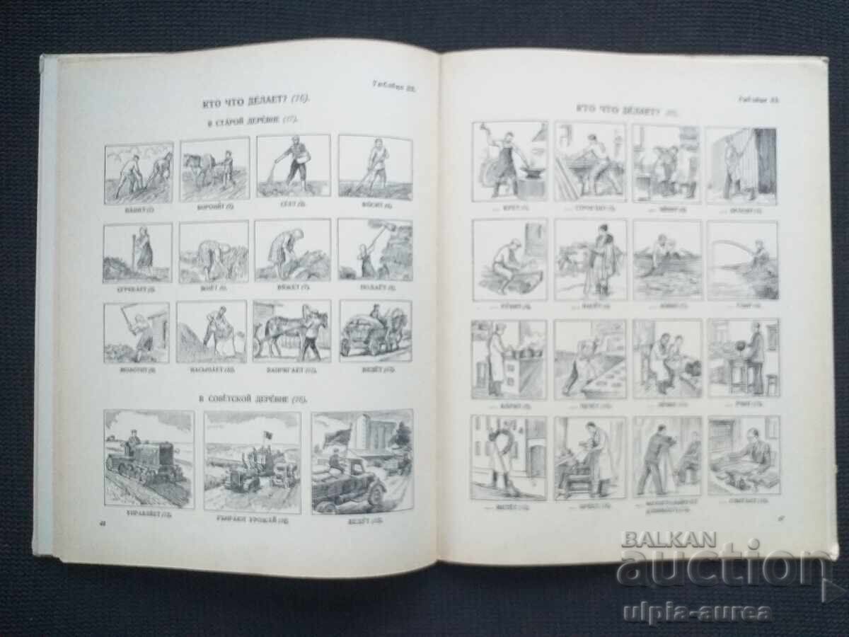 Dicționar ilustrat - 6