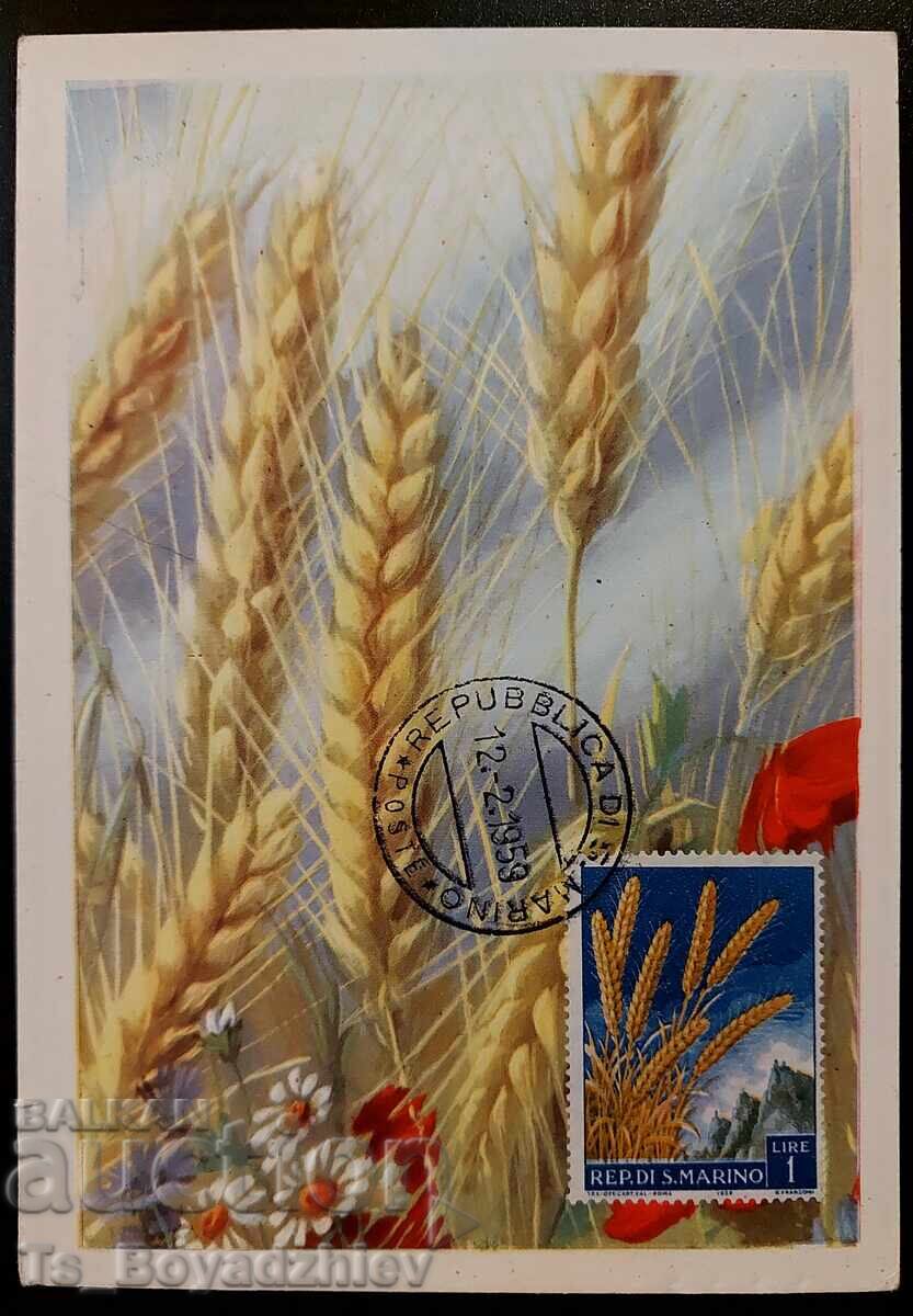 Licitație Cărți maxime, San Marino, 1958, 1959 și 1991