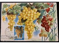 Карти максимум, Сан Марино, 1958, 1959 и 1991 г.