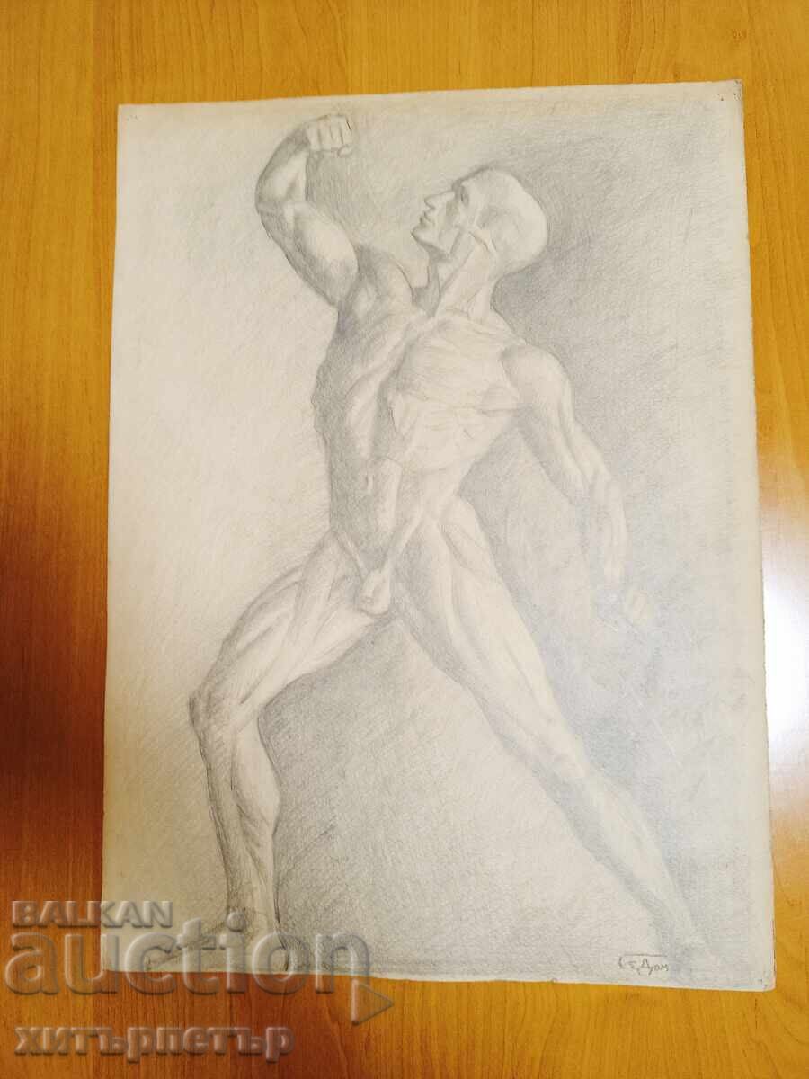 Grafică creion carton semnătură Grafică creion carton semnătură