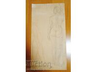 Grafică creion carton figură 1a