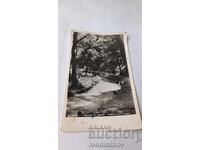 Postcard Kotel View from the park