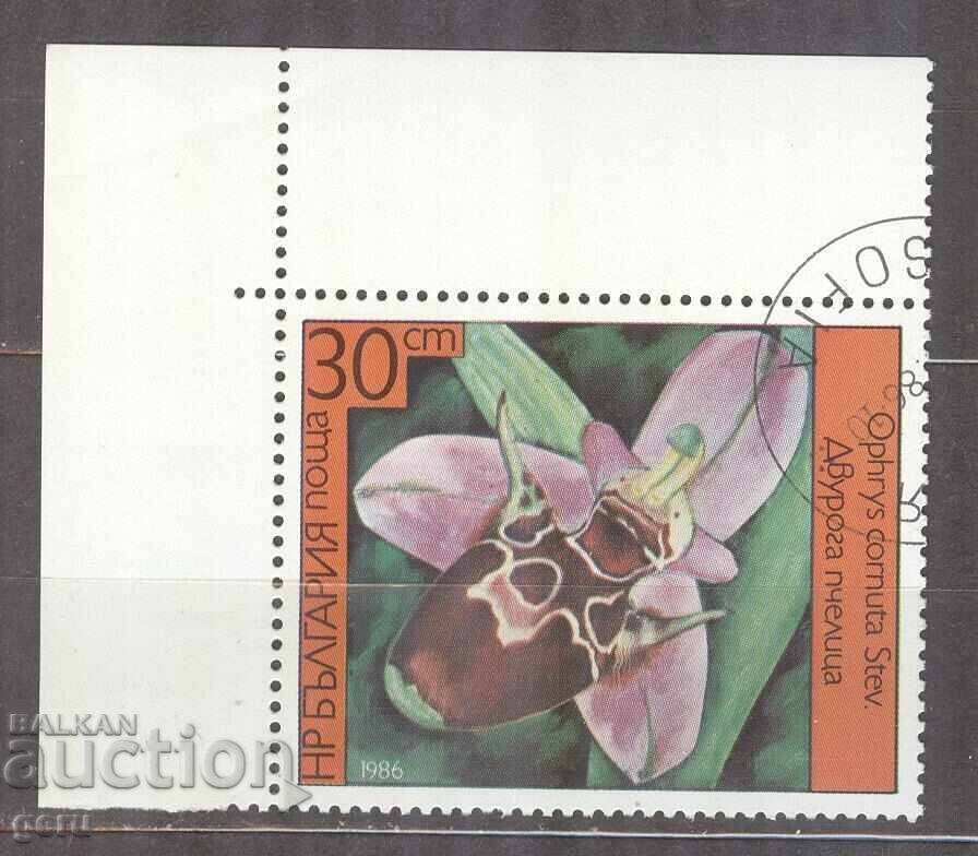 BULGARIA 1986 Orhidee timbru 2fc