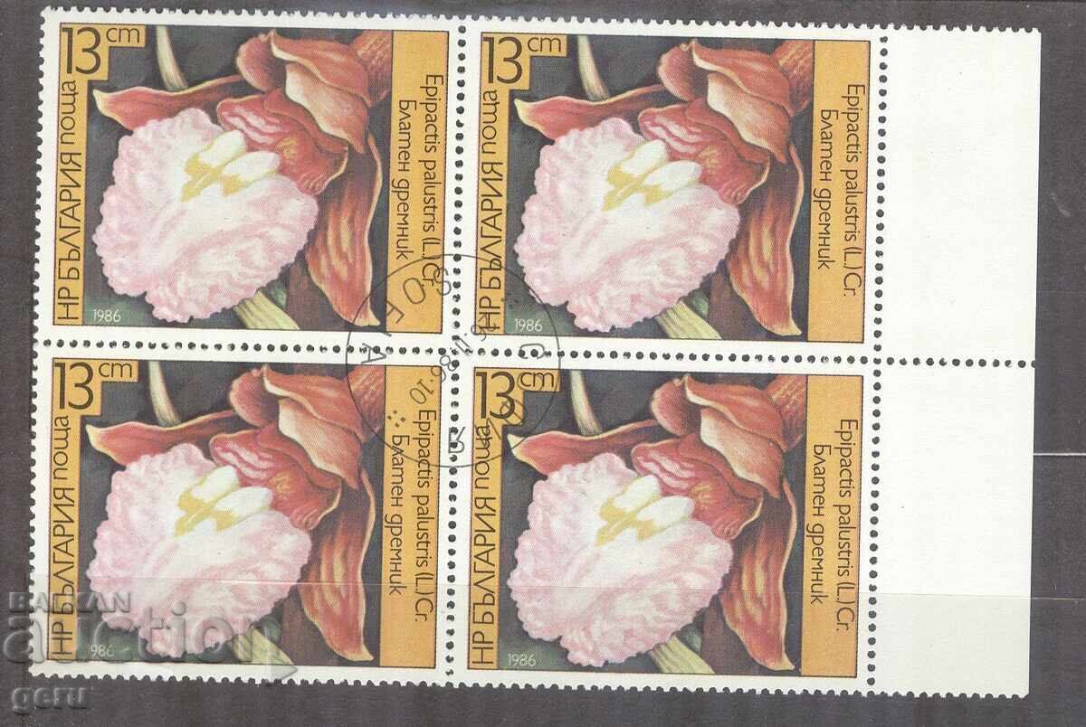 ΒΟΥΛΓΑΡΙΑ 1986 Ορχιδέες γραμματόσημο 2fc ΒΟΥΛΓΑΡΙΑ 1986 Ορχιδέες γραμματόσημο 2fc