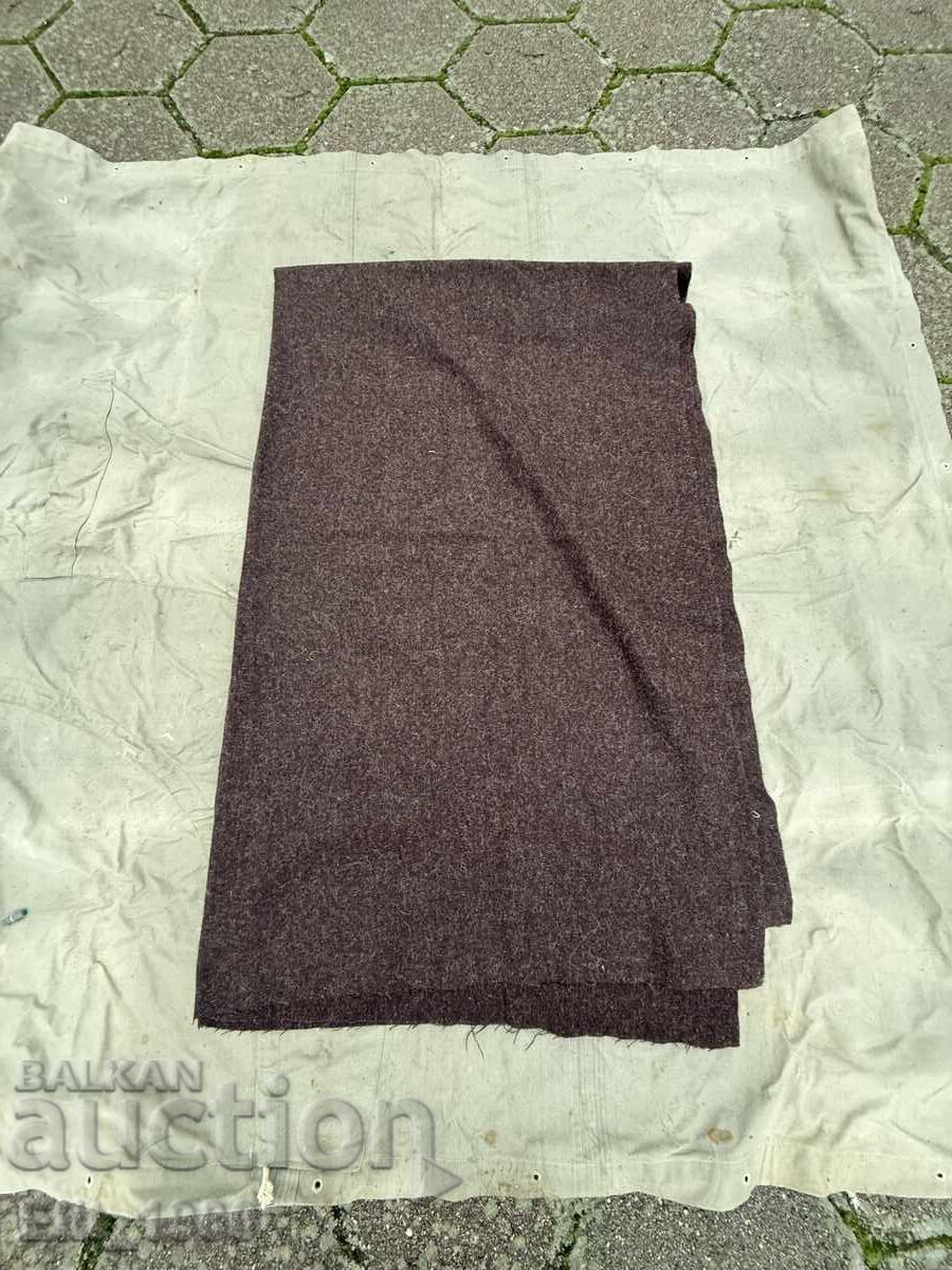 Πλατ Σαγιάκ ψύλλος