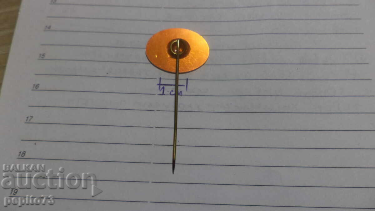 Livrarea Znachka publicitară, Green Spot, marcă budincă