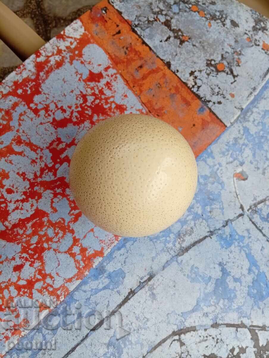 Доставка на Яйце от щраус