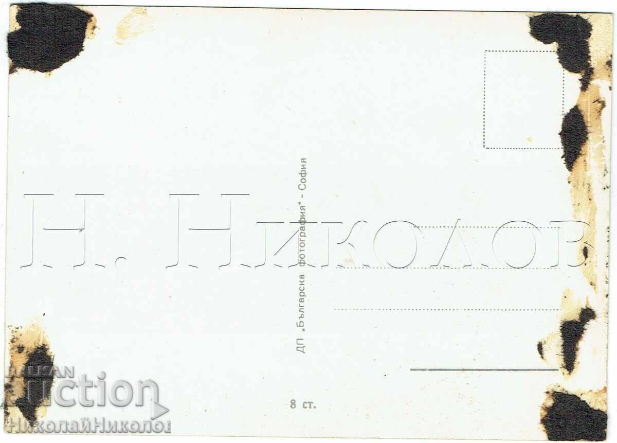 OLD MOVIE CARD ACTRESS KORNELIA BOZHANOVA J023 with price € 3.00 | 5.87 BGN