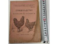 1931 Poultry Farming and Diseases of Poultry