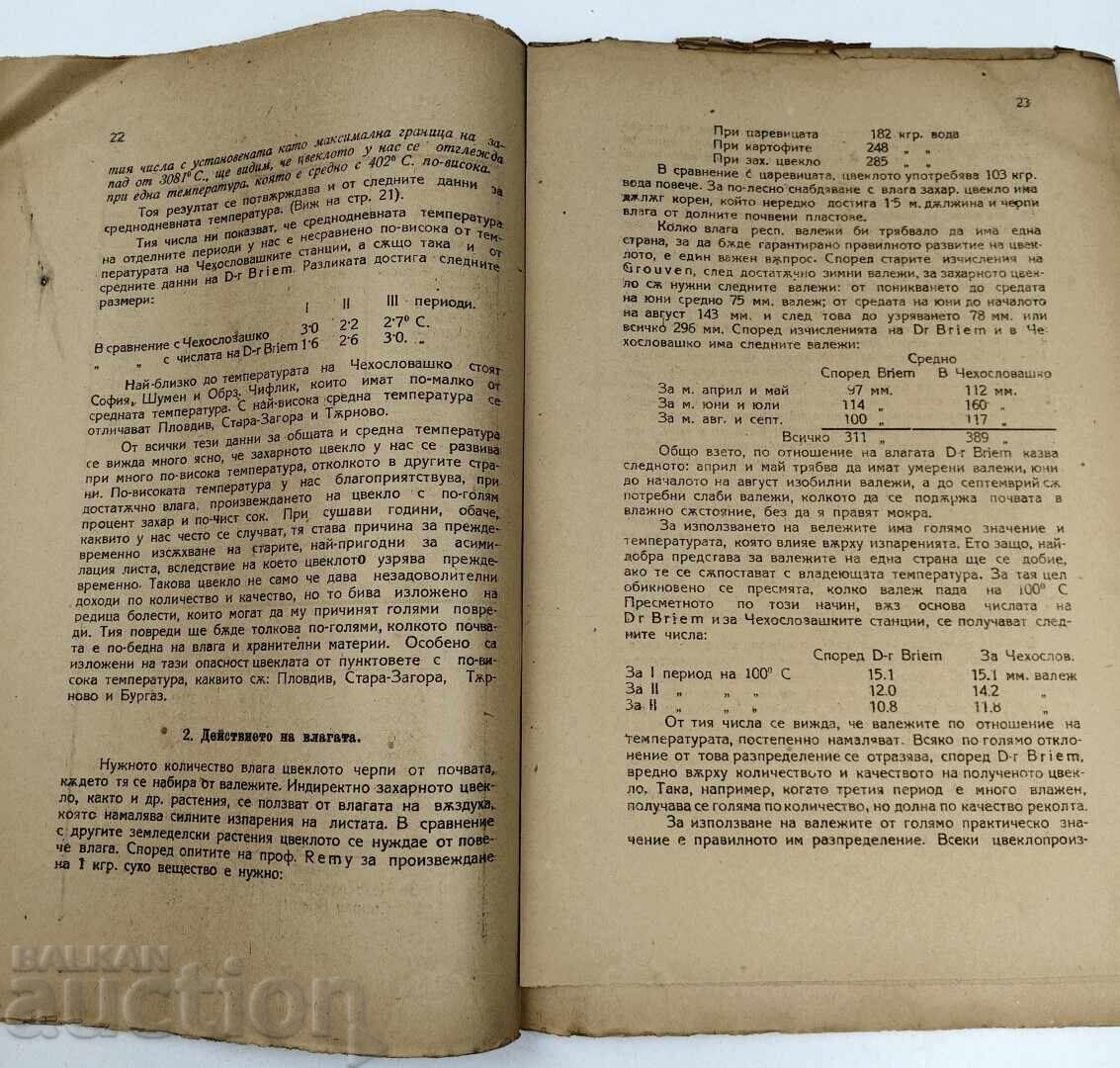 Delivery of 1922 SUGAR BEET IN OUR COUNTRY