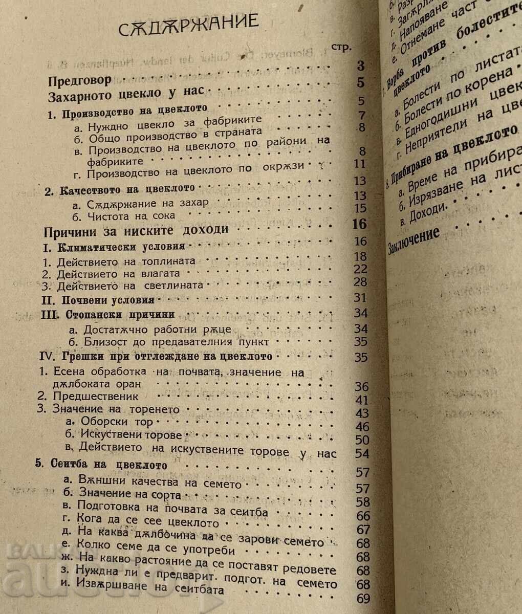 1922 SUGAR BEET IN OUR COUNTRY - 7