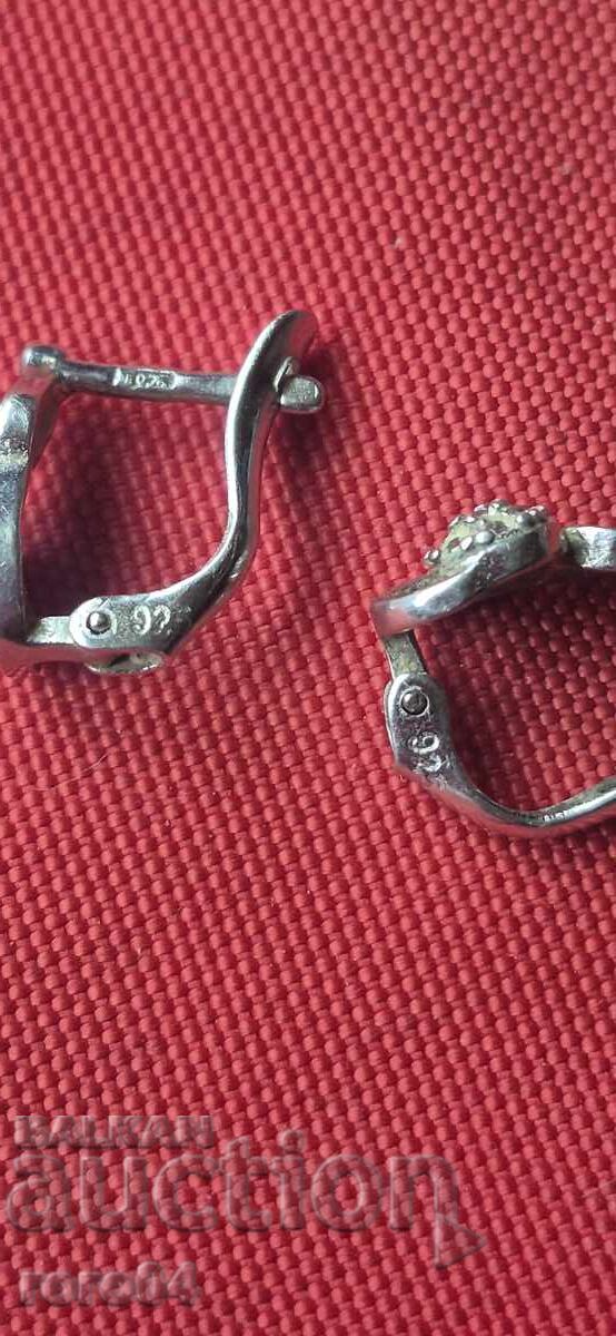 Licitație CERCEI DE ARGINT