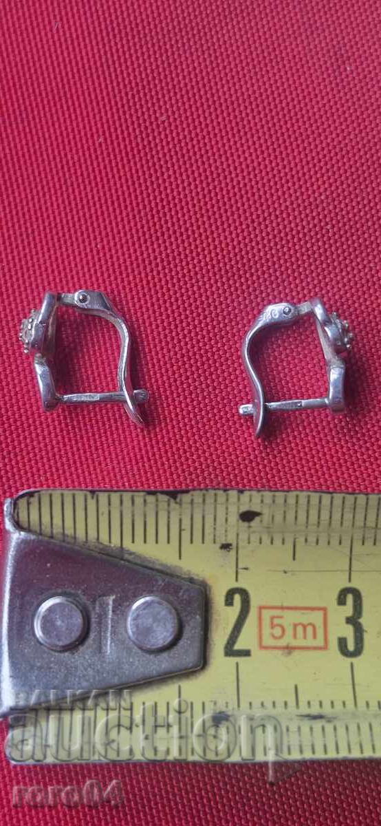 CERCEI DE ARGINT - 5