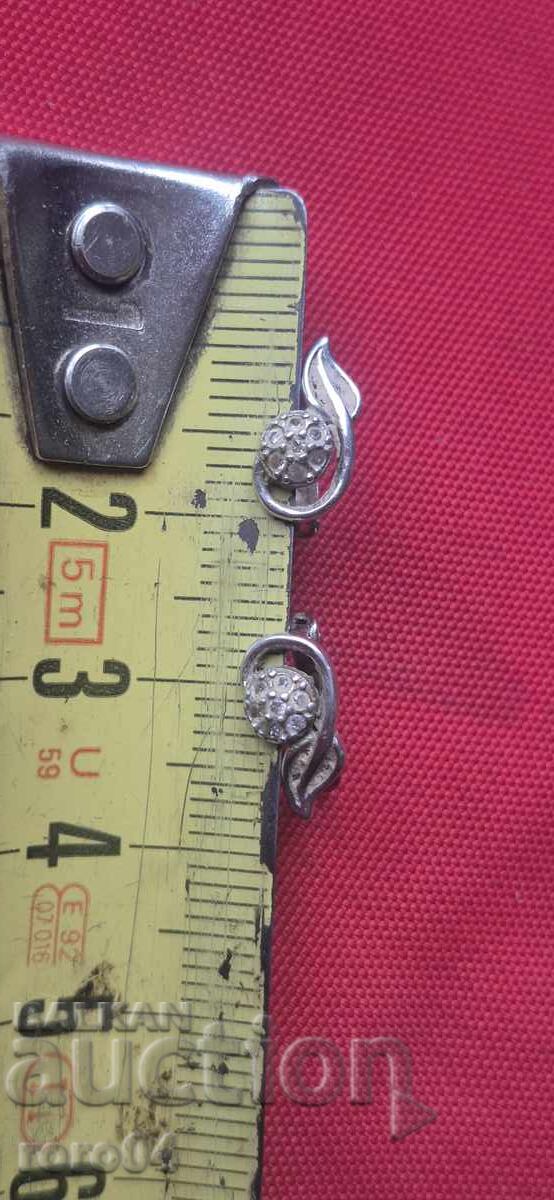 CERCEI DE ARGINT - 6