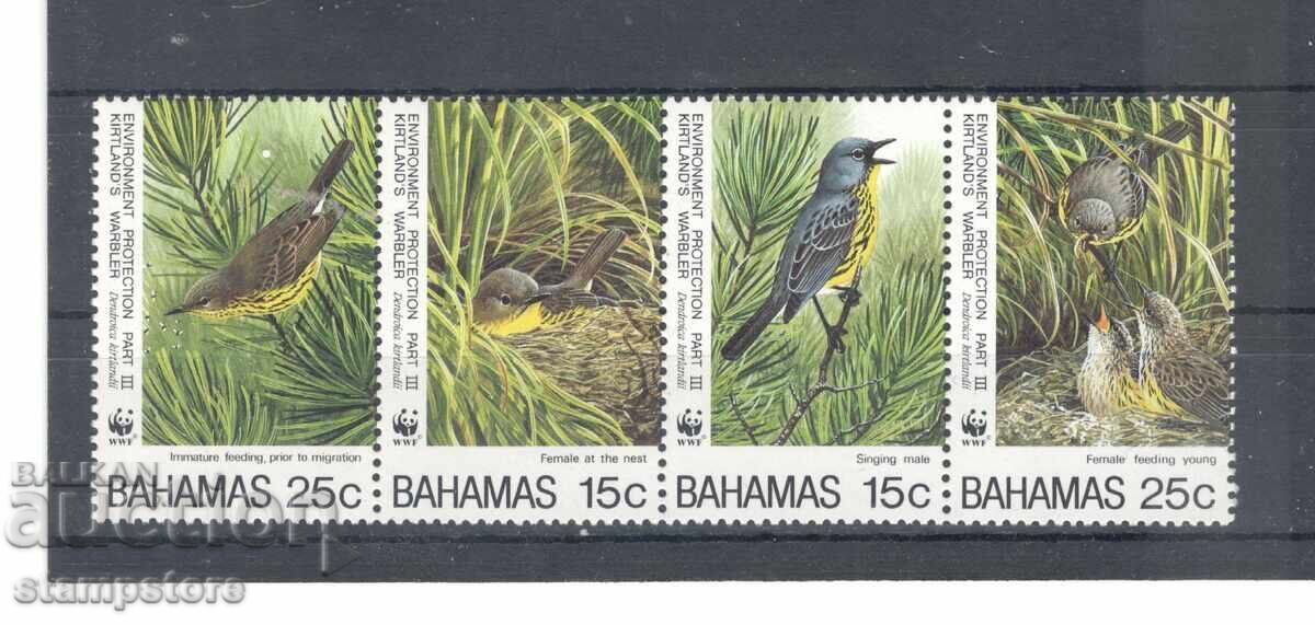 Insulele Bahamas - Păsări - WWF