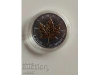Silver Maple Leaf Coin .9999, 2012