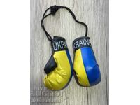 Γάντια πυγμαχίας—Σουβενίρ