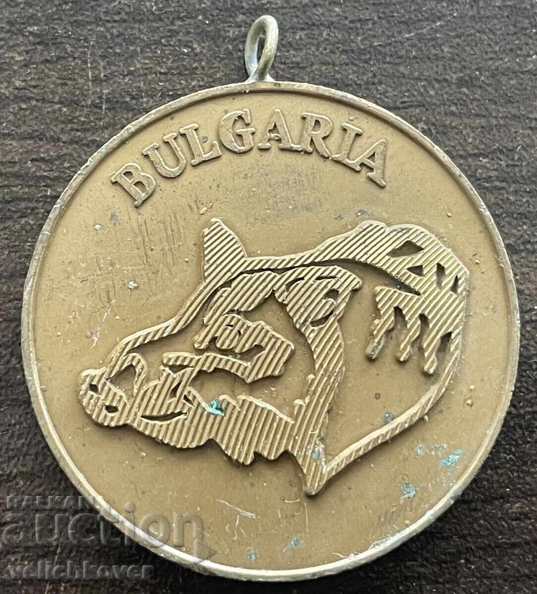 42875 Bulgaria medal de vânătoare pentru mistreț ucis, anii '80