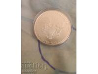 Αμερικανικός αετός