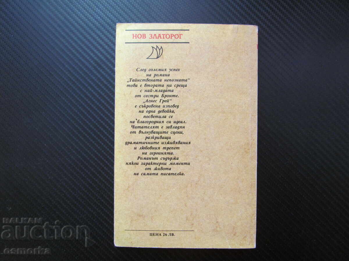 Δημοπρασία Αγνή Γκρέι Αν Μπροντέ μυθιστόρημα Νέος Χρυσόστομος δραματικές εμπειρίες