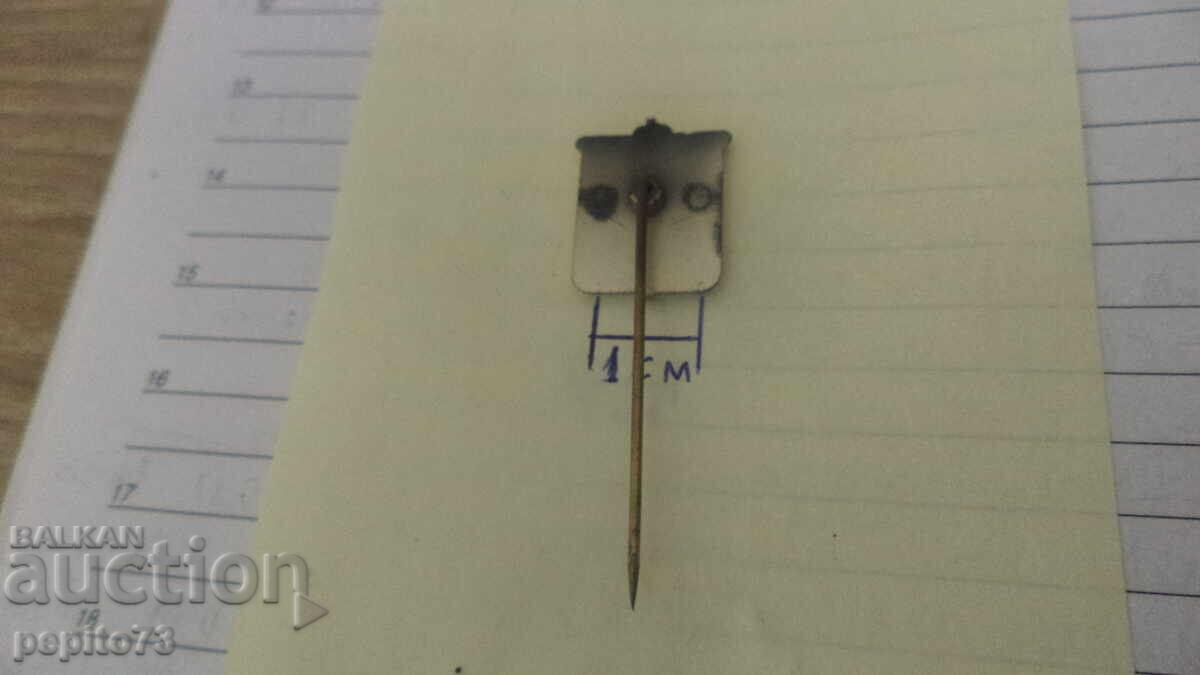 Znachka reklamna, Leu olandez - 5