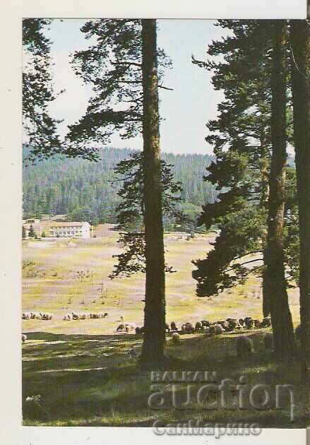 Картичка България Юндола Изглед 3* Картичка България Юндола Изглед 3*