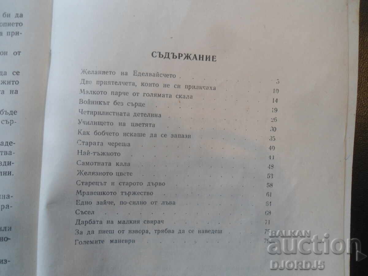 Școala Florilor, Mitko Yavorski - 5