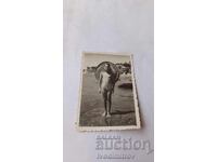 Fotografie Băiat cu sombrero pe stâncă deasupra mării