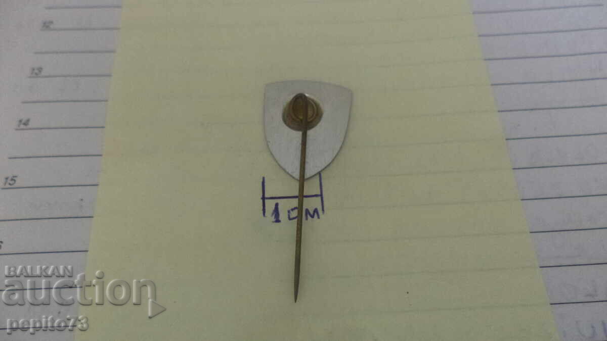 Доставка на значка рекламна, CA-va-seul,марка боя за обувки