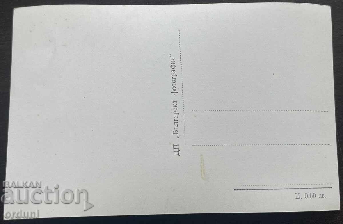 Delivery of 5582 Bulgaria postcard Narechenski Mineral Baths 50s