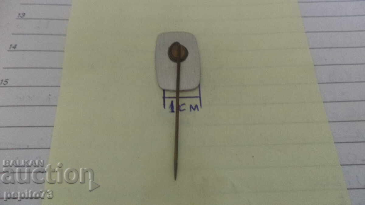 Delivery of Advertising badge, Vara, television and radio, company