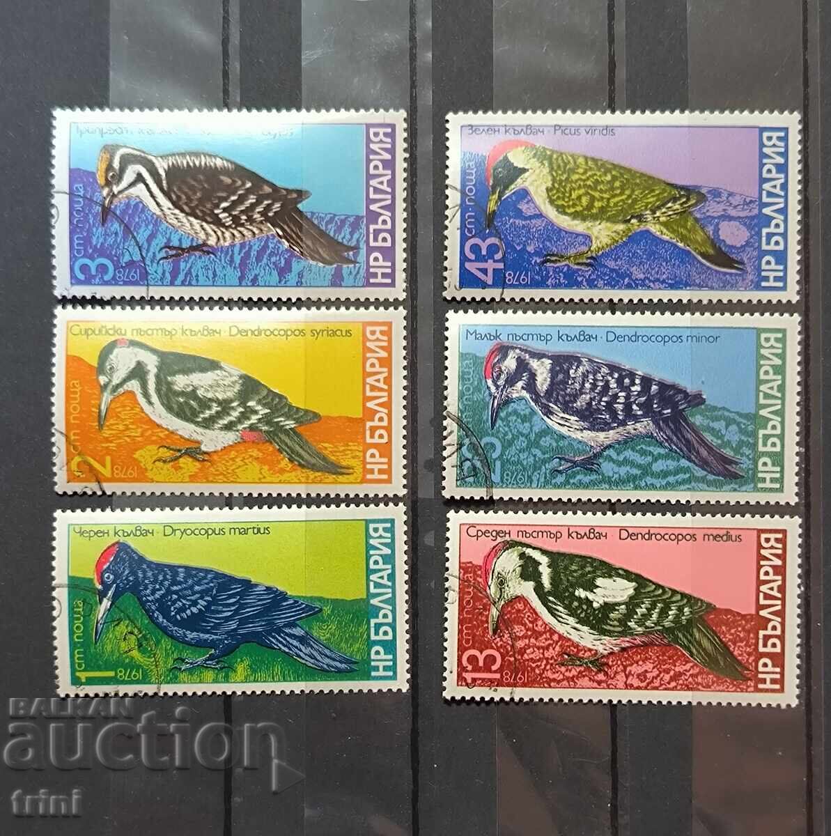 1978 (1 септември) Кълвачи. 1978 (1 септември) Кълвачи.