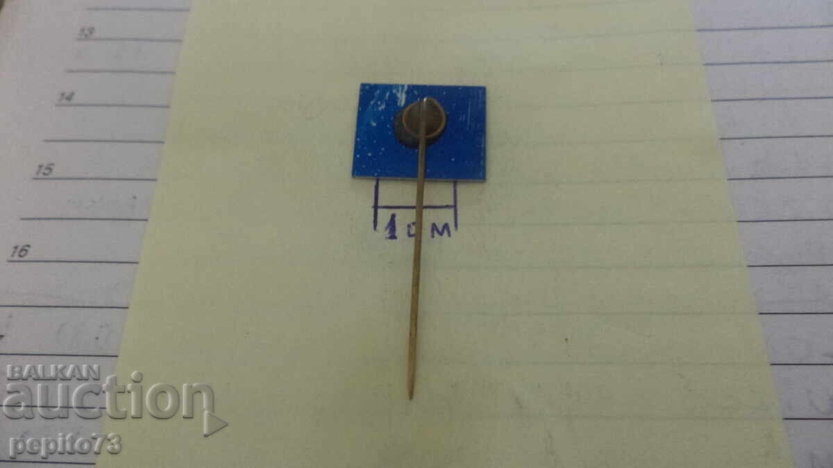 Auction  Advertising badge, Sibema, ice cream brand