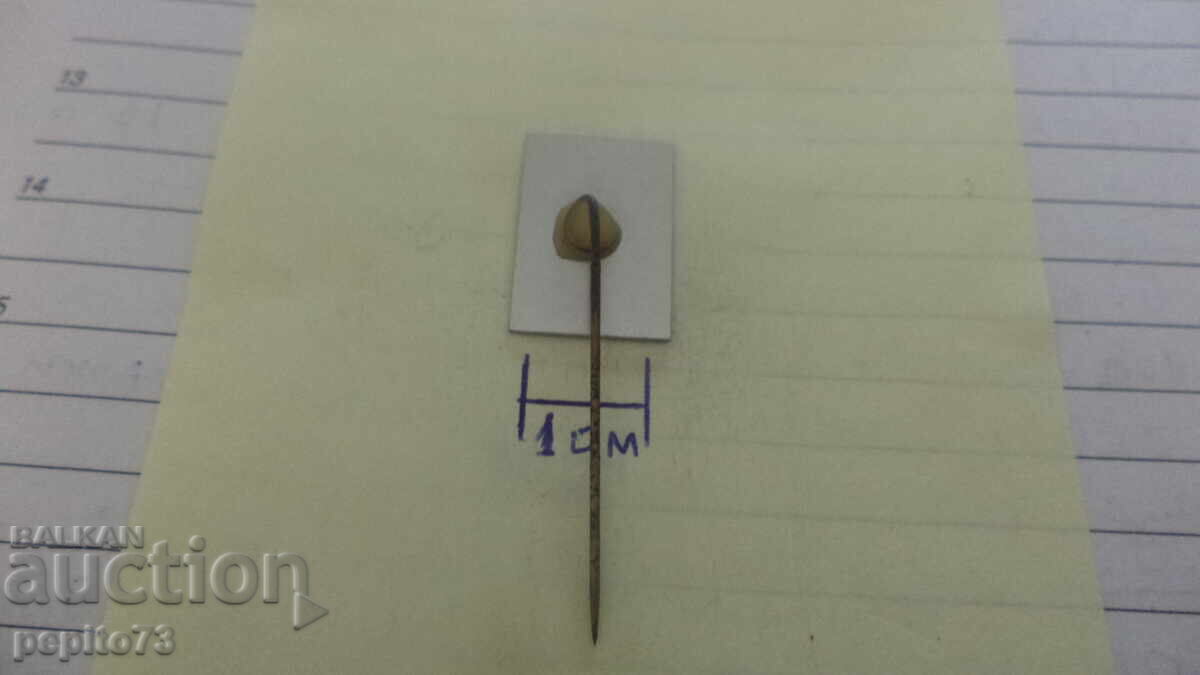 Доставка на значка рекламна ,Bloemzaden, семена за цветя Доставка на значка рекламна ,Bloemzaden, семена за цветя