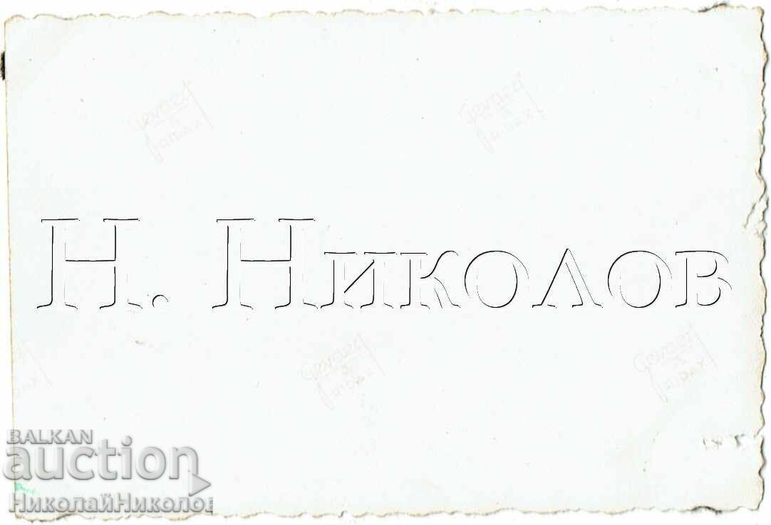 МАЛКА СТАРА СНИМКА СВИЩОВ МЛАДА ДВОЙКА КРАЙ ДУНАВА Ж138 с цена € 1.00 | 1.96 лв.