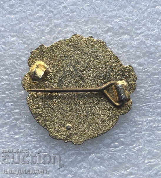 Vechi insignă MANCHESTER UNITED FC cu preț € 31.00 | 60.63 BGN