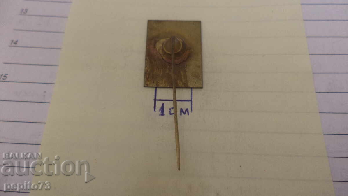 Licitație Insigna publicitară, Miss Helen, brand cunoscut