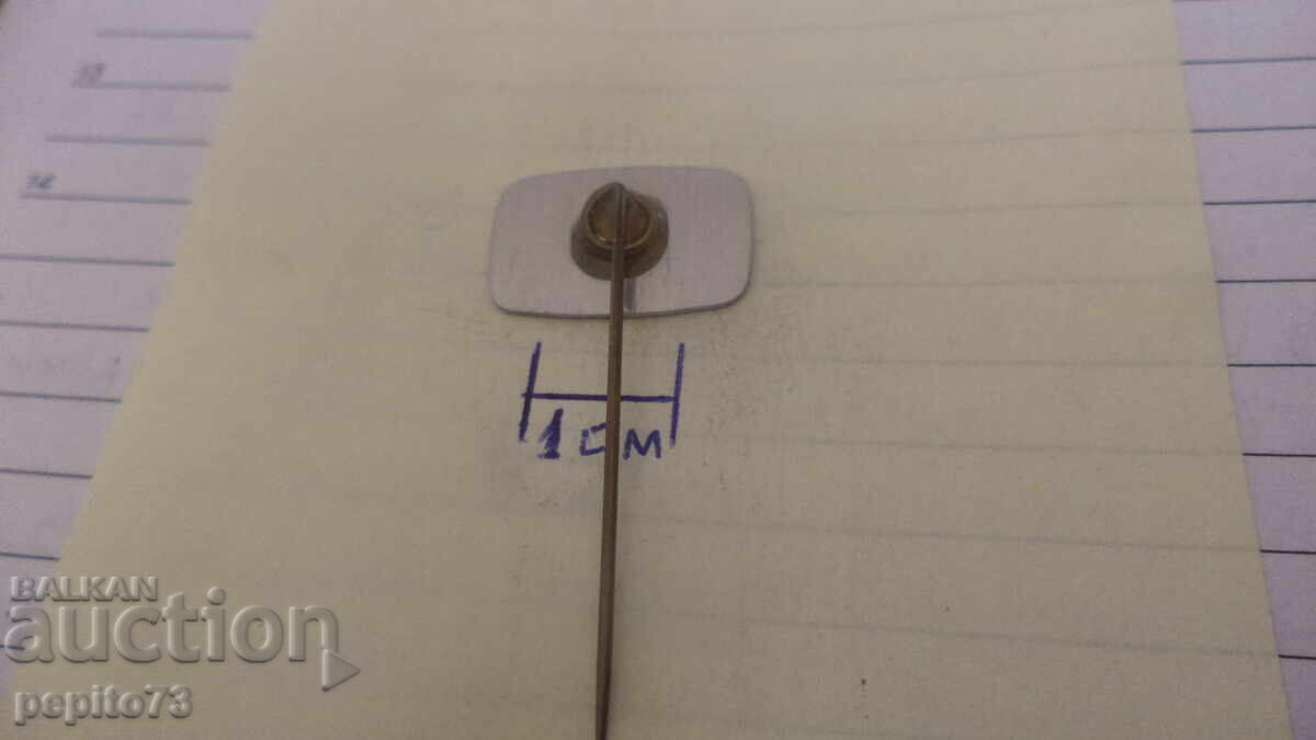 Delivery of Advertising badge, Eyssen Kaas, cheese brand