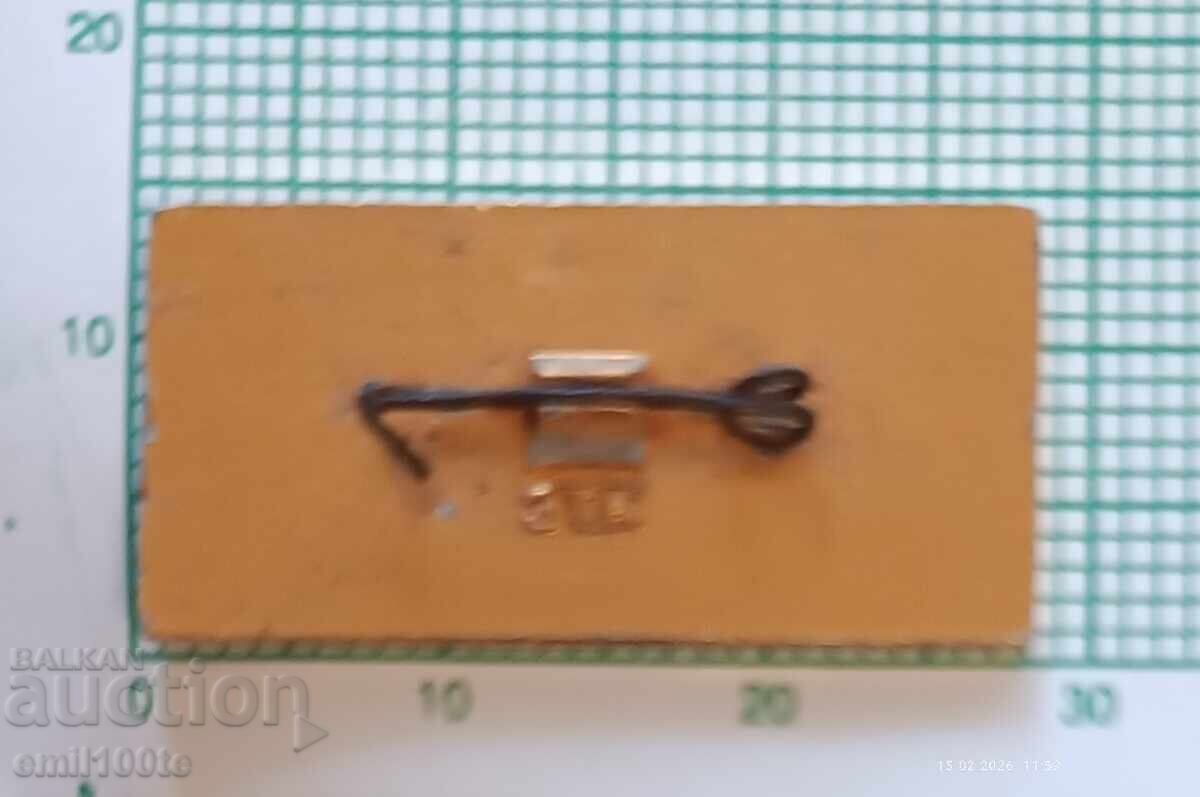 Παράδοση Σήμα - Παιδικό τουρνουά ποδοσφαίρου Πιonerσκα Πράβδα